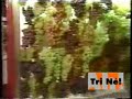 www.ahtrine.com.br Lasier tomando choque www.ahtrine.com.br Lasier tomando choque