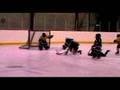 Crowfoot Icehawks 2008