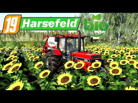 LS19 Harsefeld 2k19 BIO #28 - Auf den Striegel umsteigen | Farming Simulator 19