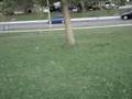 videos de luka fallin part 2