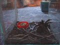 Lasiodora Parahybana Lasiodora Parahybana