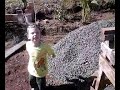 A FÚRIA DO GUSTAVO