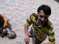 Snake Vs Mongoose