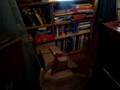 Cat Escapes from Box
