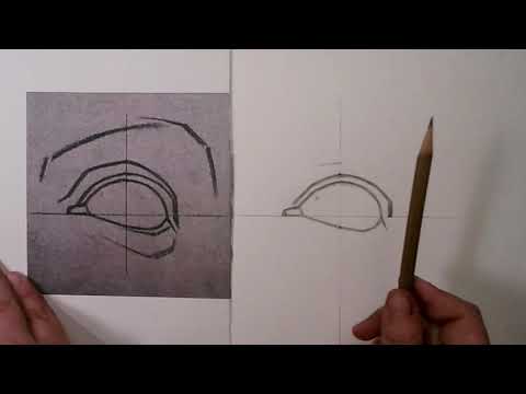 BARGUE EYE Drawing Demonstration from Beginning to End (College Course Assignment)
