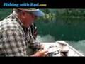 Identifying kokanee and coho salmon at Kawkawa Lake