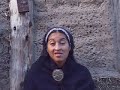 el pueblo mapuche y la invasión forestal  parte 2  de 4 