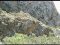 PALM BEACH PREVELI Cretan Tropical paradise (TRY)