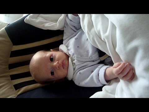 absilone - 