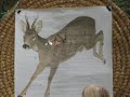 Longbow shooting 3d