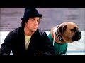  - MovieZen Video