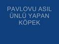 pavlov ve köpekleri