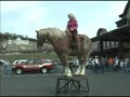 the big horse show