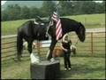 The Big Horse Show