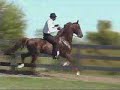 Jonney Shriver - the horse!! Jonney Shriver - the horse!!