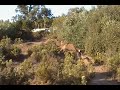 Cuyamaca pack big air 2 train
