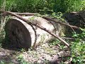 ATYPICAL DAY in Pokagon State Park