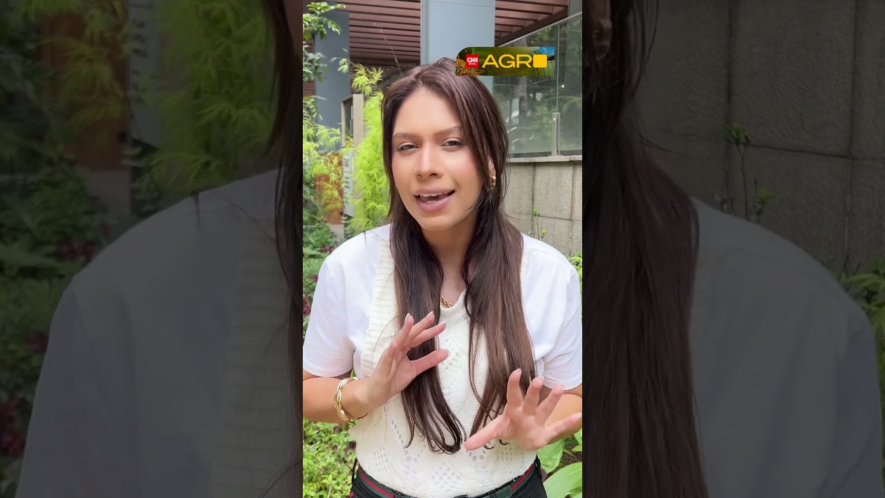 Limão caviar: o cítrico da Austrália que pode custar R$ 1200 o KG