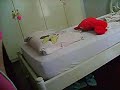 Pensando em voc� (editado) - CaroLx Novais