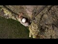 lost land of the jaguar   bbc one
