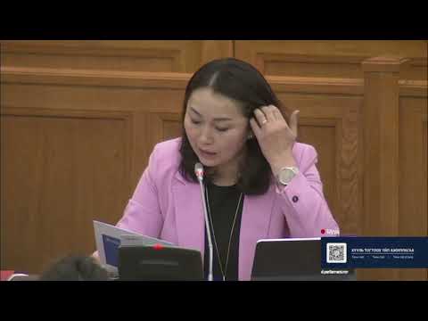 Ж.Энхбаяр: Монгол Улс оффшор бүсэд орох боломжтой юу?
