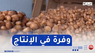 تفاديا لكساد المحاصيل..تدخل رئاسي عاجل لإنقاد الفلاحين