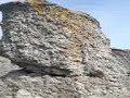 Raukar p� �land lime stone