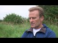Click here to watch this video Plight of The Barn Swallows