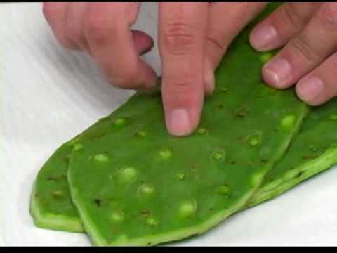 how to harvest nopales