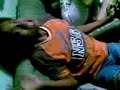 ang sanhi ng pulang kabayo kay baklang amity palamuti