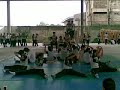 Run the show(choreography)-Bsn 1f