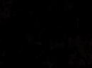 the-final-message-from-mr-grandison.html