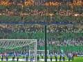 Celtic fc fans