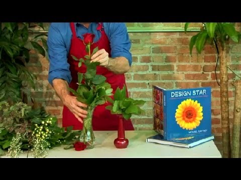 how to replant long stem roses