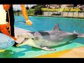 Marineland of the Pacific