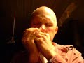 butterfield-gussow-inspired-blues-harp.html