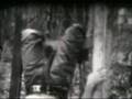 Sasquatch Returns