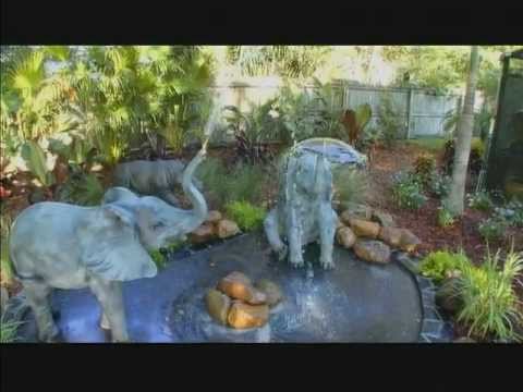 how to get on my yard goes disney