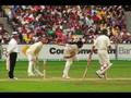 Wrex Tarr - Cricket