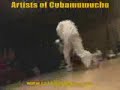 Artists of Cubamemucho: Seo & Latin Black Artists of Cubamemucho: Seo & Latin Black