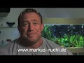 Markus R�hl �ber seinen R�cktritt