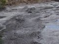 New Zealand - Bubbling Mud Geysers - Geothermal Wonders Pt.1
