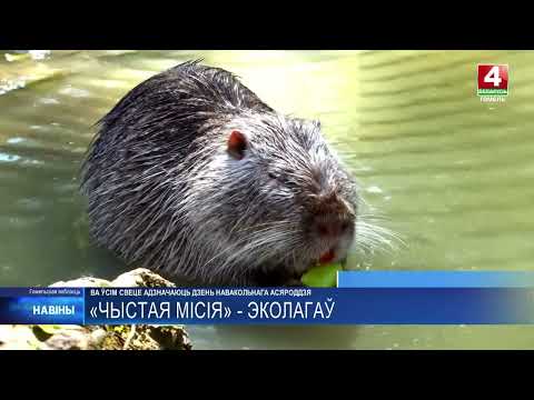Всемирный день окружающей среды отметили 5 июня видео