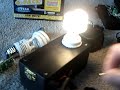 Lidmotor Christmas CFLs