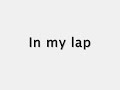Collapsed-aly and aj lyrics