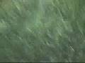 videos de Reggie & Fredrick 