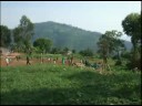 Nyarusunzu School, Uganda Nyarusunzu School, Uganda