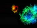 videos de Elements (Crescendo)
