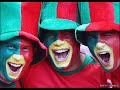 Fans in the Euro 2008 (Photos)