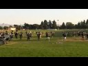 Lion King (preview)